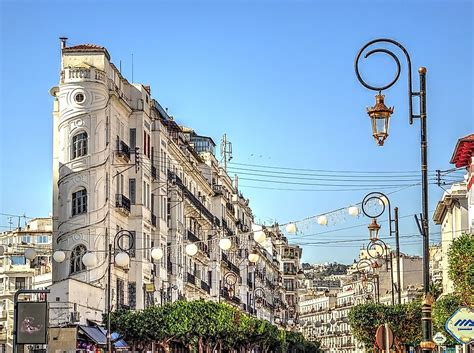 capital city of algeria|algeria algiers.